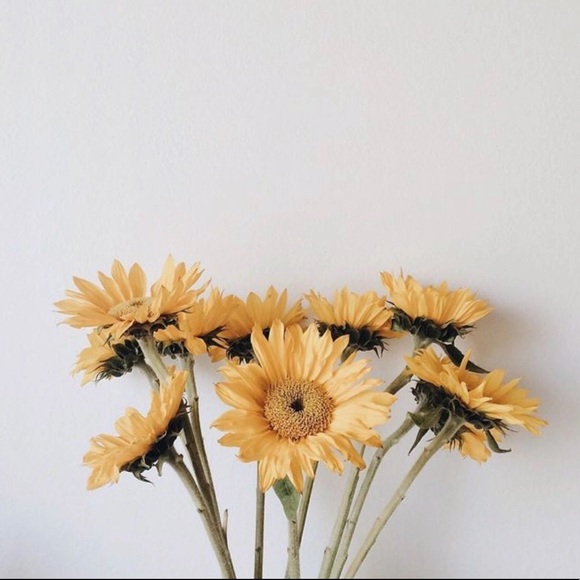 Meet your Posher, Kim - Picture 1 of 1